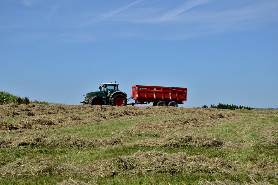 
          L'or vert, c'est l'ensilage d'herbe