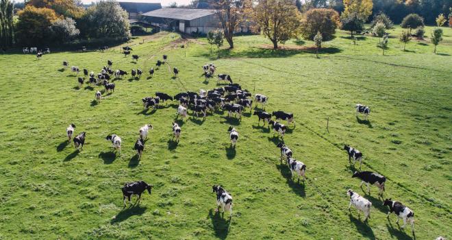 
           Les éleveurs de ruminants unis contre « la folie libre-échangiste »