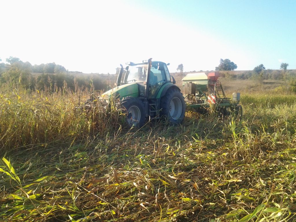 
          SEMIS DIRECT SOUS COUVERT DES CULTURES, UNE PRATIQUE PHARE DE L’AGRICULTURE DE CONSERVATION