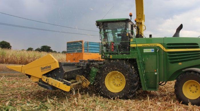 
          ENSILAGE DE MAÏS ÉPI : OPTIMISER LA RÉCOLTE ET SON UTILISATION
