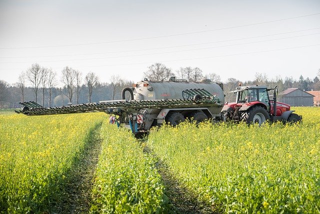 
          DÉSHERBER EN SORTIE D’HIVER AVANT DE FERTILISER