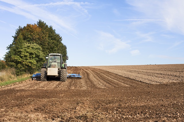 
          POMMES DE TERRE : LE TRAVAIL DU SOL, ÉLÉMENT IMPORTANT DANS LA GESTION DES SOLS