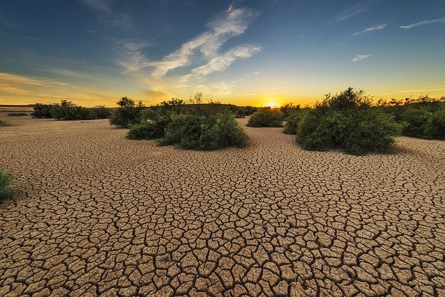 
          LA PRÉSERVATION ET L’AMÉLIORATION DE L'ÉTAT DES SOLS AGRICOLES, UN ENJEU DE SOCIÉTÉ 