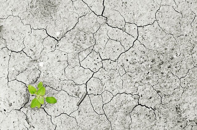 
          LE PHÉNOMÈNE DE L'ÉROSION DES TERRES AGRICOLES ET SES ENJEUX 