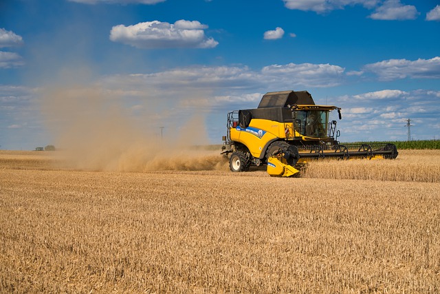 
          LES CONSÉQUENCES DES PÉRIODES DE DÉFICIT HYDRIQUE SUR LA QUALITÉ DES PRODUITS RÉCOLTÉS