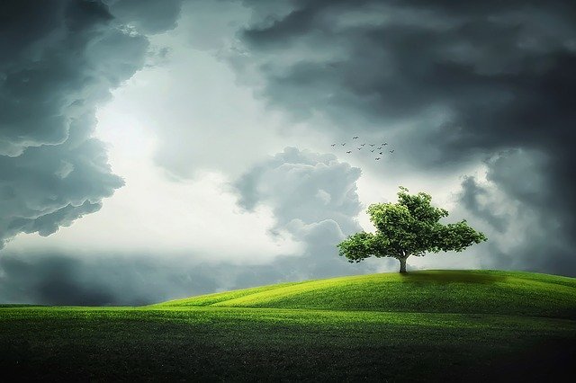 
          Les pluies menacent la qualité des cultures françaises