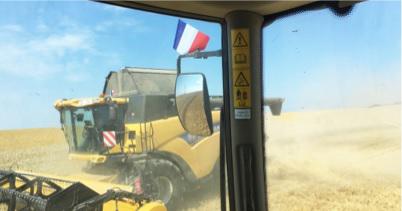 
          Des champs bleu, blanc, rouge?