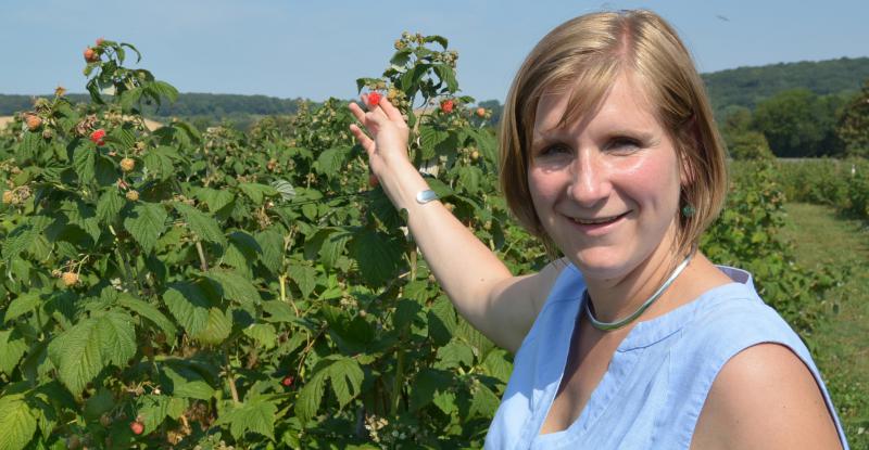
          >Une framboise locale et qui a du goût
