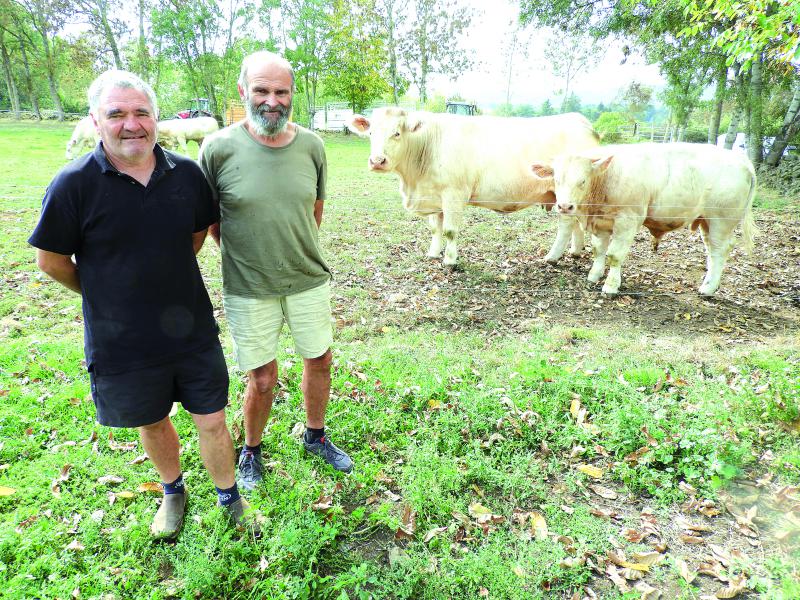 
          Suivez dans cette VIDEO : La presse agricole et rurale - Communauté 