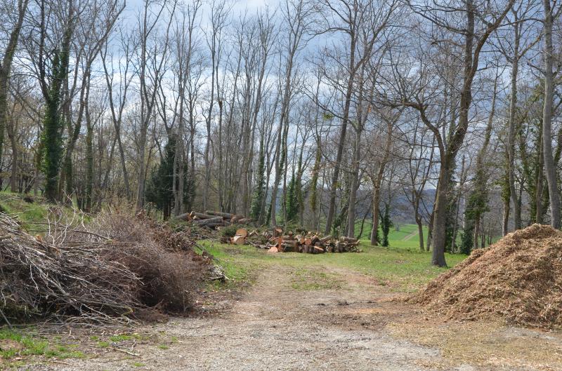 
          UN GISEMENT IMPORTANT MAIS UNE OFFRE ÉCLATÉE