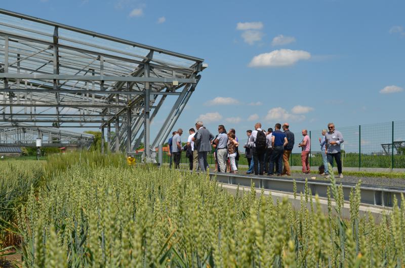 
          La génétique ou comment voir l’avenir dans un grain de blé