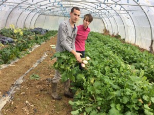 
          Un duo de jeunes maraîchers, bio convaincus