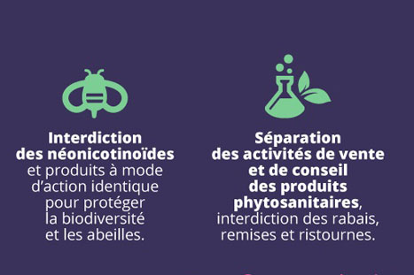 
          Les dessous phyto d'Egalim