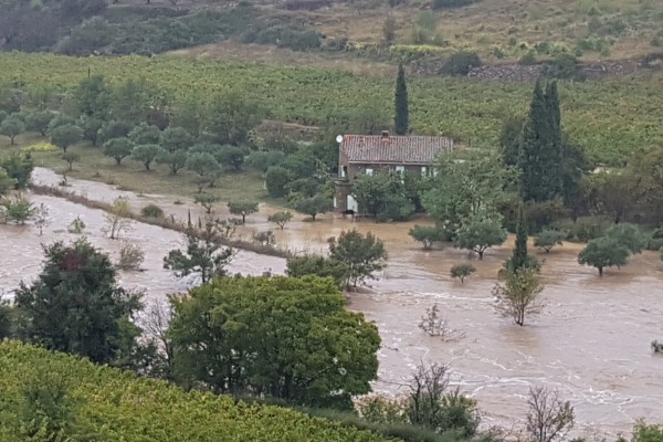 
          Viticulture / oenologie -Viticulture- : Les pluies dévastatrices dans lAude inondent les vignes
