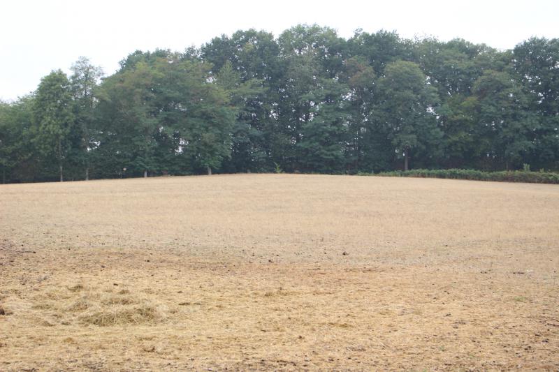 
          URGENT : LA PROFESSION AGRICOLE DOIT SE MOBILISER POUR CONSOLIDER LE DOSSIER DE RECONNAISSANCE EN CALAMITÉS