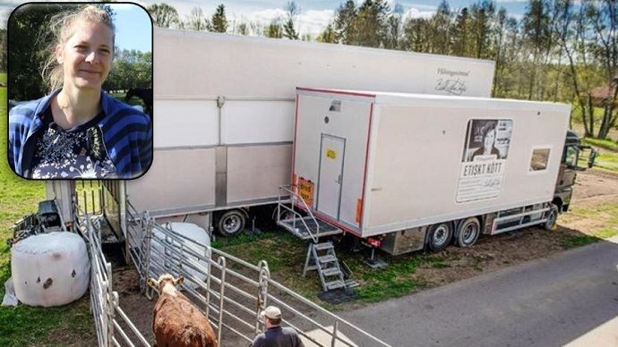 
          Abattoir mobile à la ferme Émilie Jeannin : « Le transport et l'abattage gâchent le travail de l'éleveur »