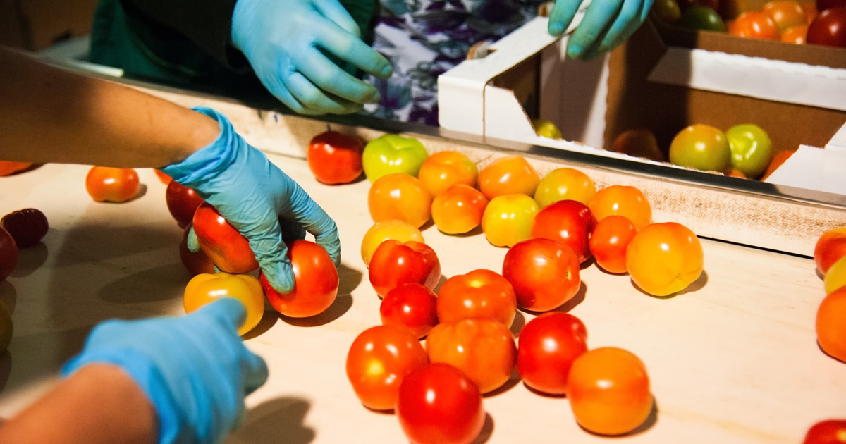 
          Ile-de-France : un appel à projets pour structurer les filières agricoles et forestières