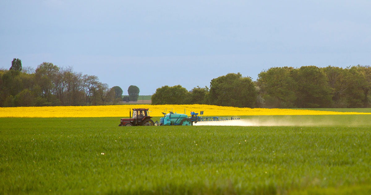 
          Maine-et-Loire : suspension d'un pesticide à l'origine d'intoxications