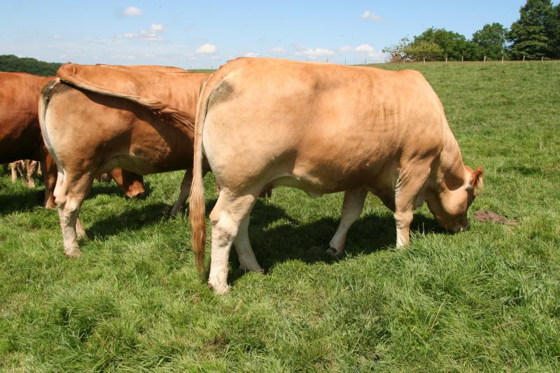 
          Une finition vraiment à l'herbe