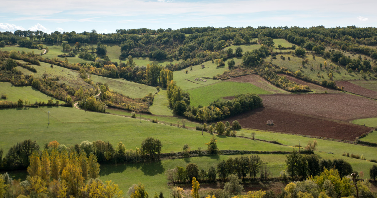 
          L'agroécologie peut nourrir l'Europe en 2050