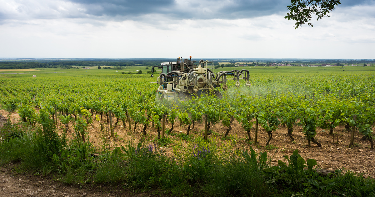 
          Pourquoi les agriculteurs ont tant de mal à lâcher les phyto