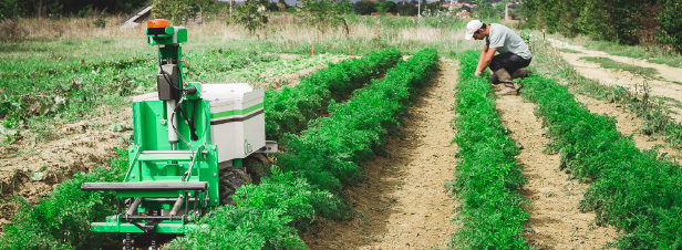 
          L'agro-écologie à l'heure du numérique