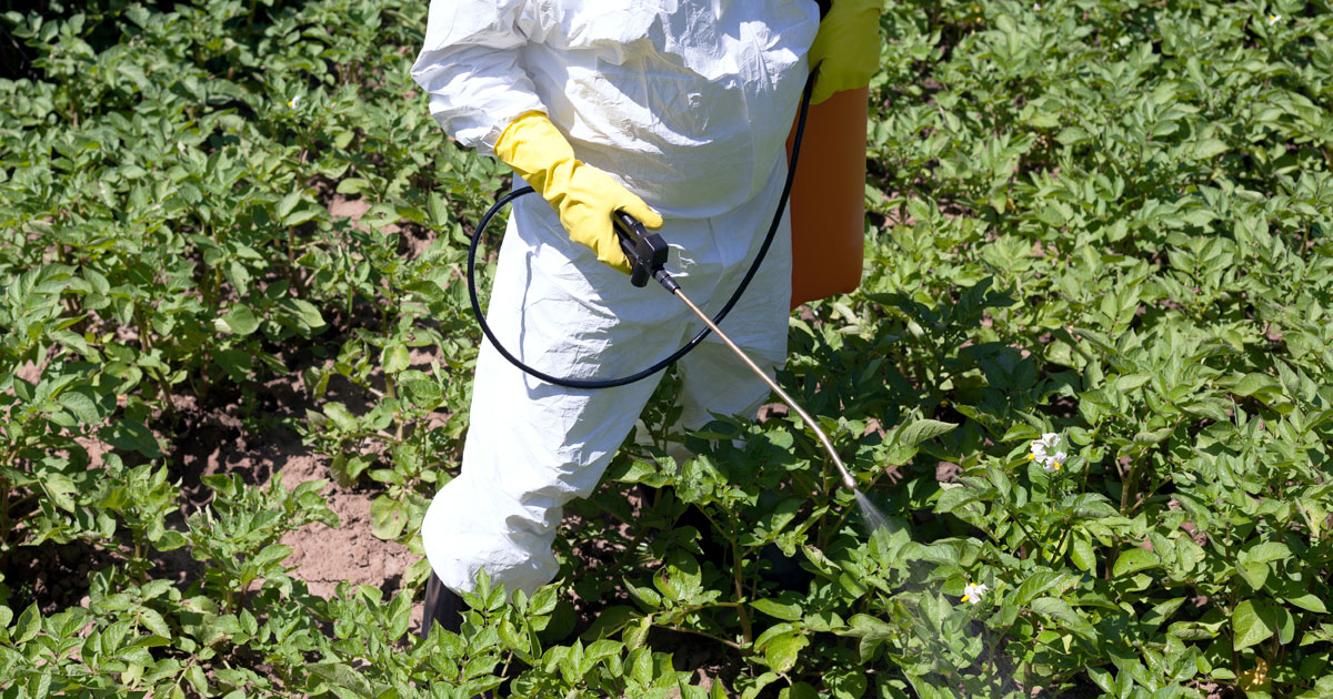 
          Sortie du glyphosate : une mission d'information est lancée