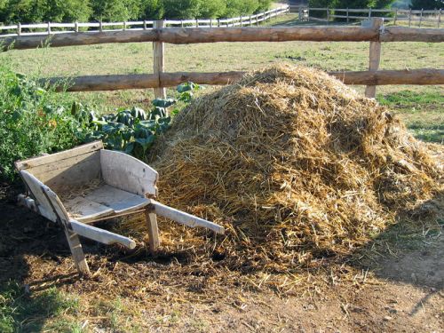 
          Compost ou compostage