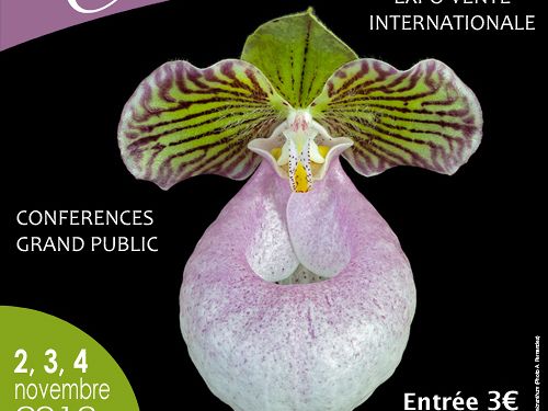
          Exposition internationale d'orchidées
