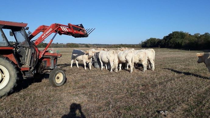 
          Sécheresse et calamités agricoles