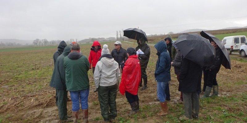 
          Sur les chemins de l’agroécologie