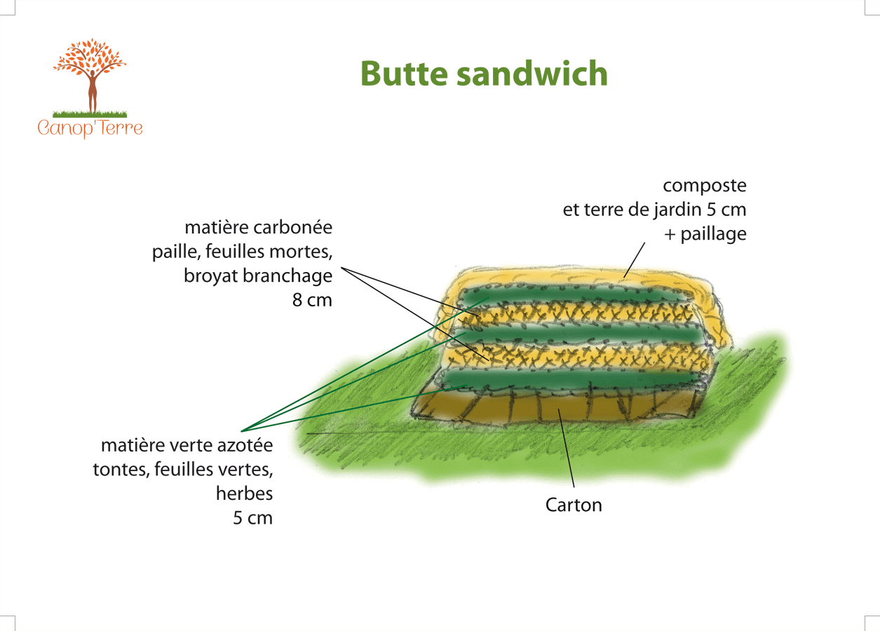 
          Butte en lasagnes