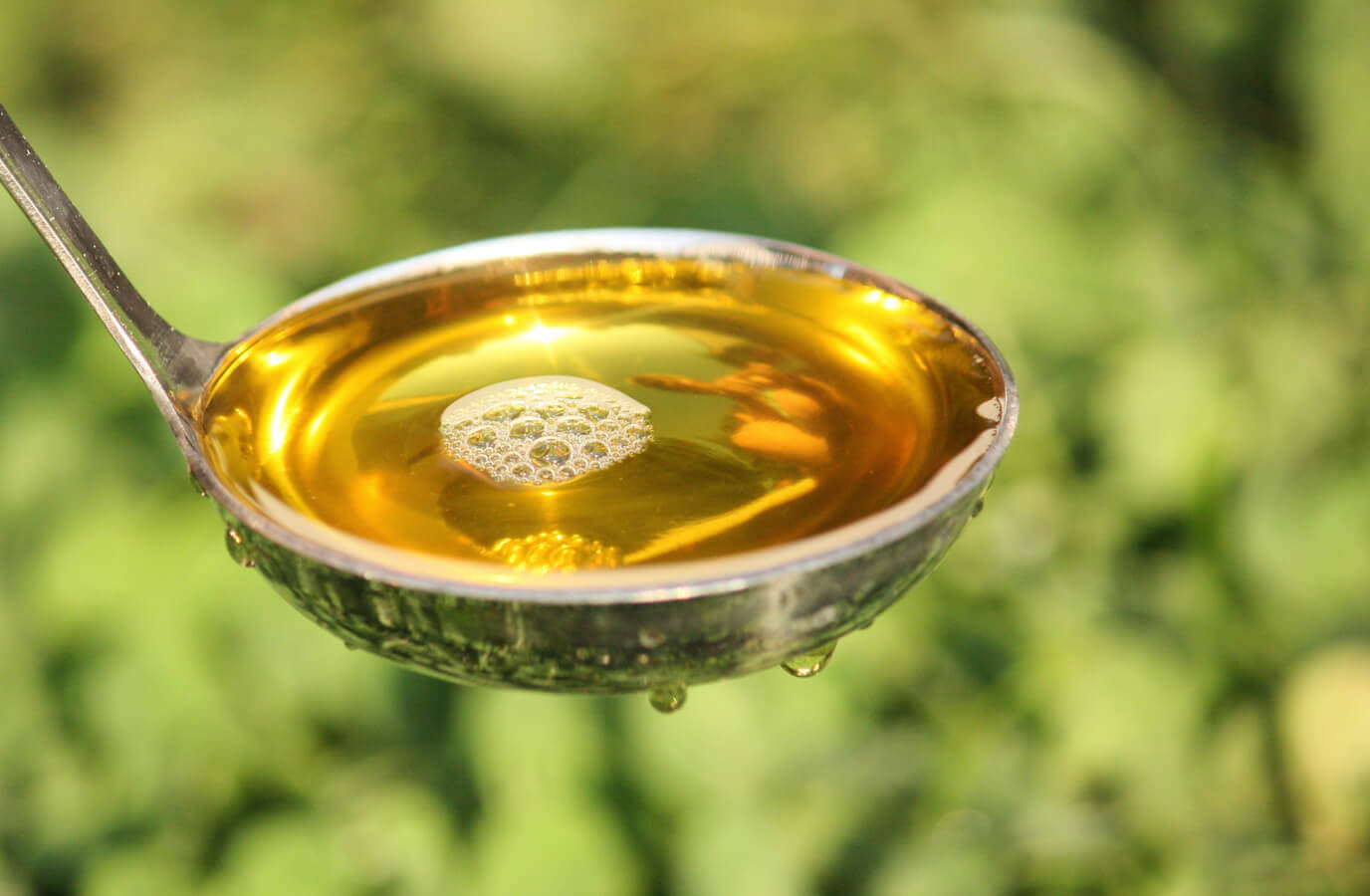 
          Transformation de l'urine en engrais 