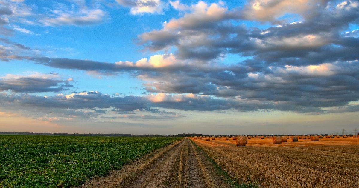 
          Grande conférence sur l'Agroécologie