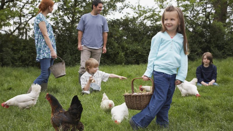 
          Agriculture bio en Italie