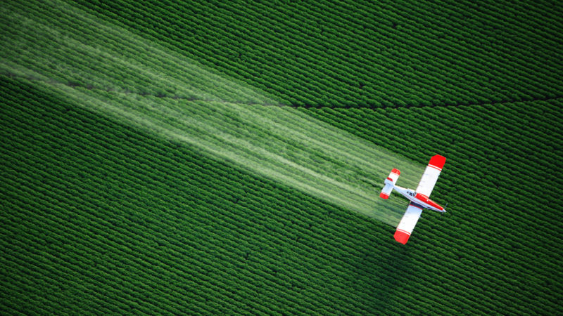 
          Transition agro-écologique