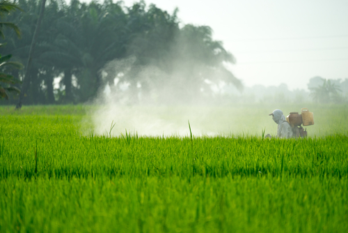 
          Transition agro-écologique