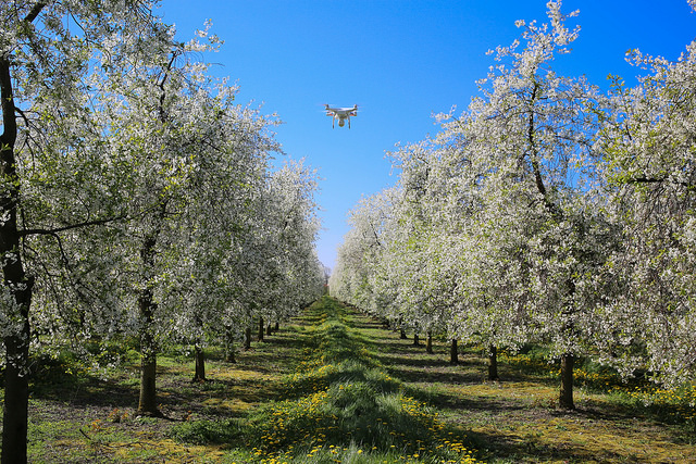 
          L’agriculture intelligente, 