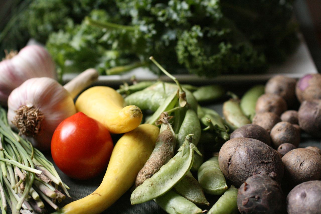 
          Agriculture Bio