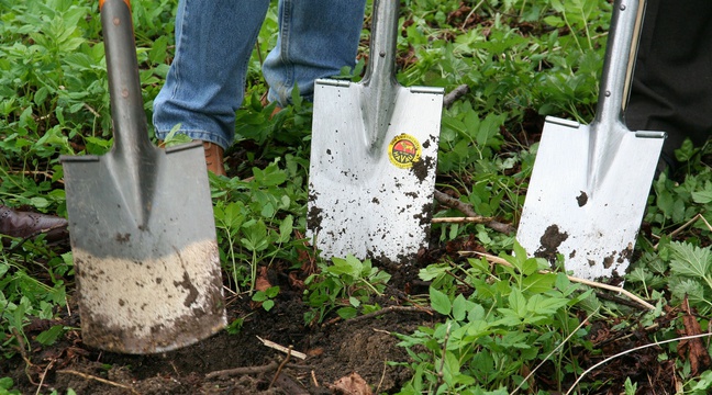 
          Agriculture bio et jardinage