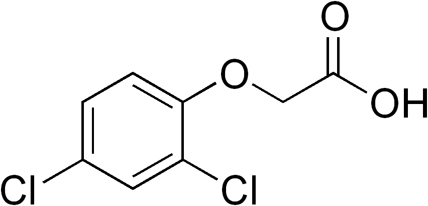 
          Acide 2,4-dichlorophénoxyacétique - Un herbicide