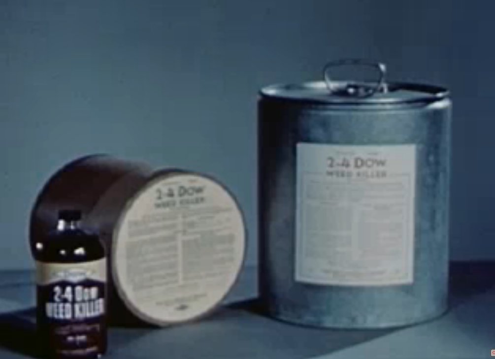 
          Acide 2,4-dichlorophénoxyacétique - Un herbicide