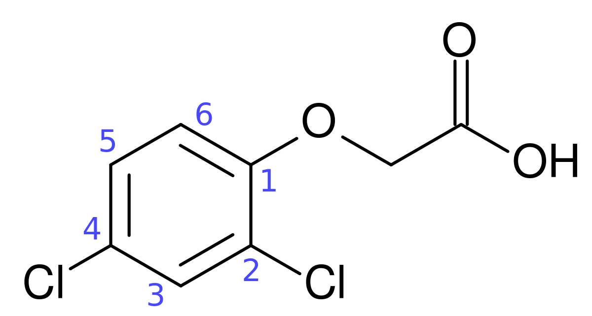 
          Acide 2,4-dichlorophénoxyacétique - Un herbicide