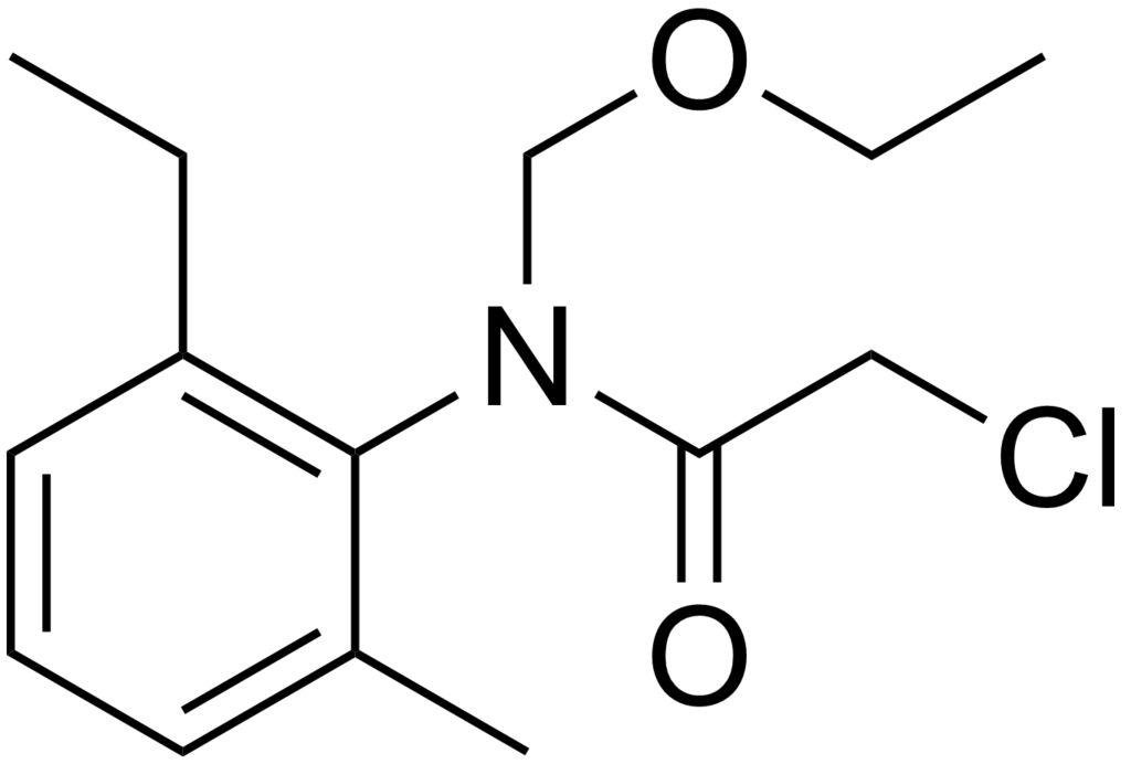
          Acétochlore - Description du produit phytosanitaire