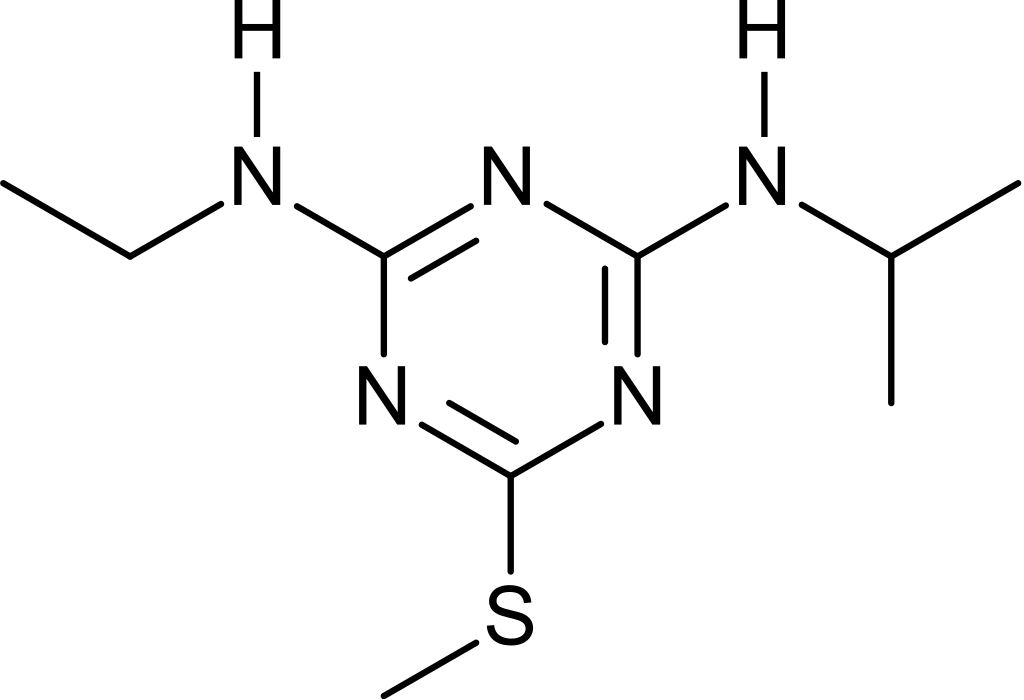 
          Amétryne - Description de la substance active