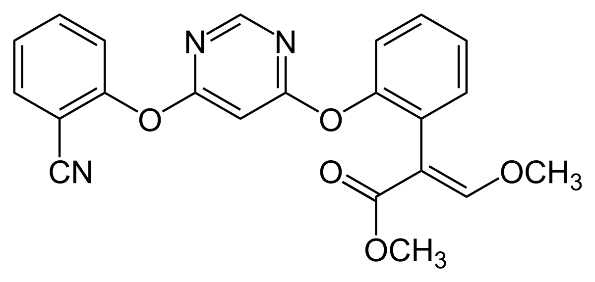 
          Azoxystrobine