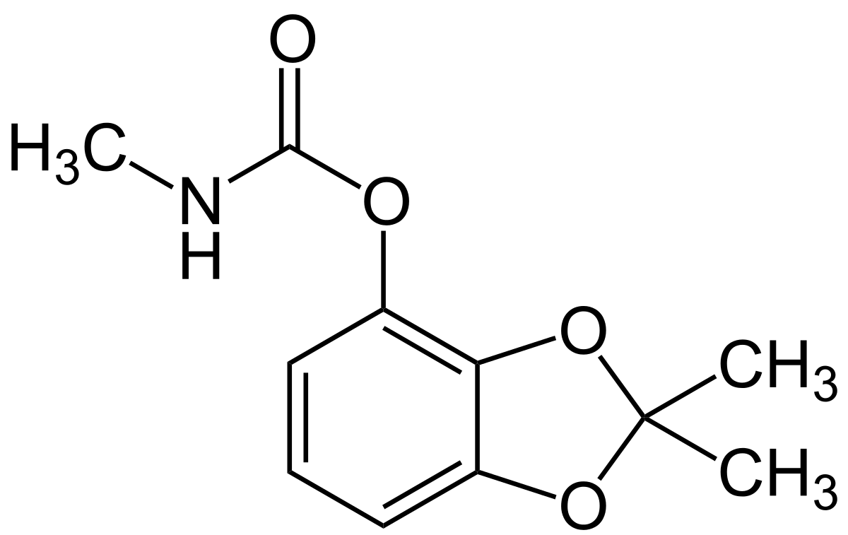 
           Bendiocarbe