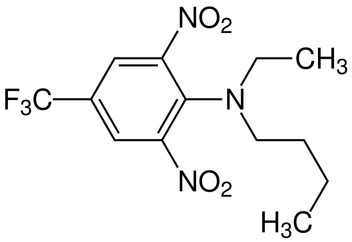 
           Bendiocarbe