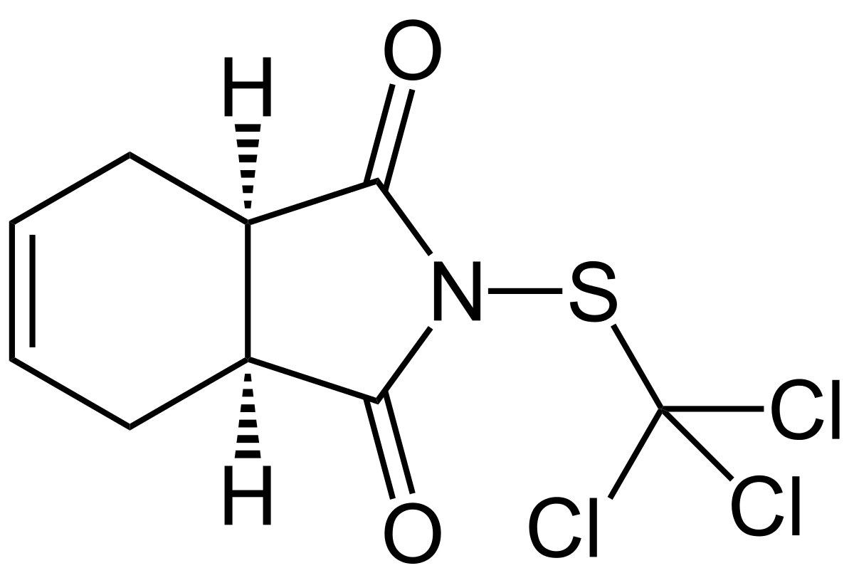 
           Captane
