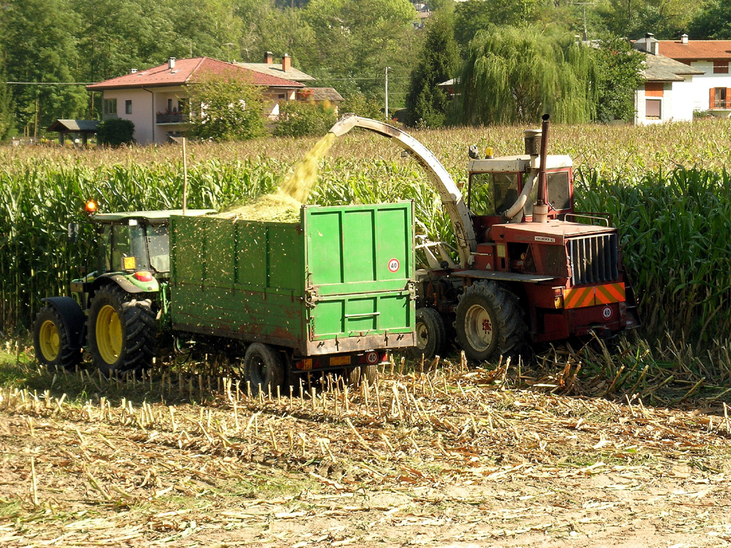 
            Maïs fourrage: La conservation par ensilage